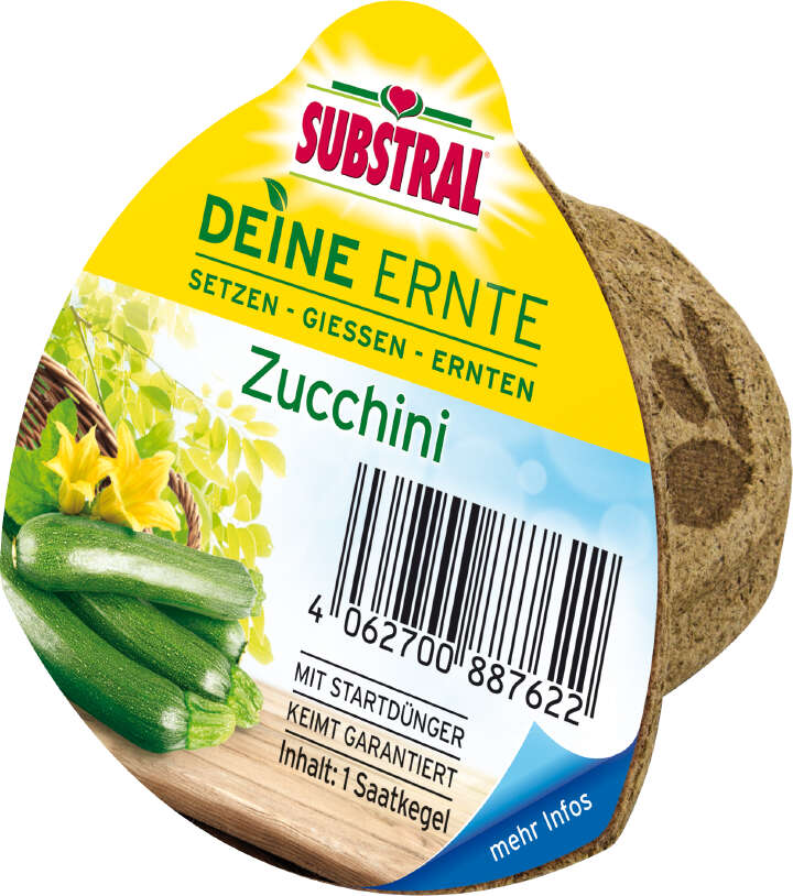 SUBSTRAL Deine Ernte Saatkegel Zucchini